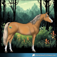 Horse Color:Palomino 