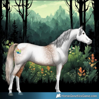 Horse Color:Gray Chestnut Splash Tobiano 