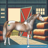 Horse Color:Gray Chestnut Splash Tobiano 
