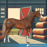 Horse Color:Chestnut 