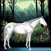 Horse Color:Gray Gold Champagne Dun Tobiano 