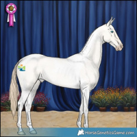 Horse Color:Perlino Roan Dun Tobiano 