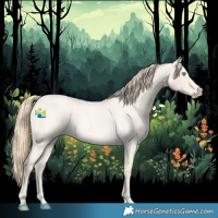 Horse Color:Perlino Roan 