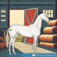 Horse Color:Perlino Roan 
