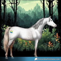 Horse Color:Gray Chestnut 