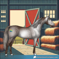 Horse Color:Gray Chestnut 