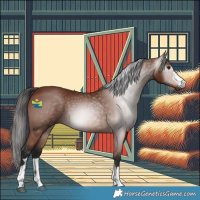 Horse Color:Gray Bay 
