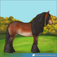 Horse Color:Bay and Bay