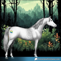 Horse Color:Gray Black 