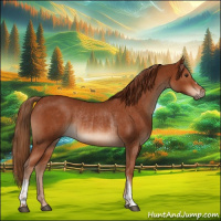 Horse Color:Chestnut and Chestnut Rabicano