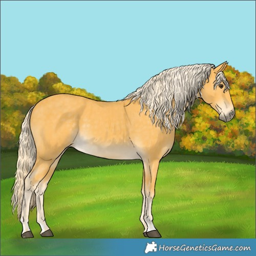 Horse Color:Palomino  and Palomino 