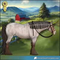 Horse Color:Liver Red Dun Roan Sabino