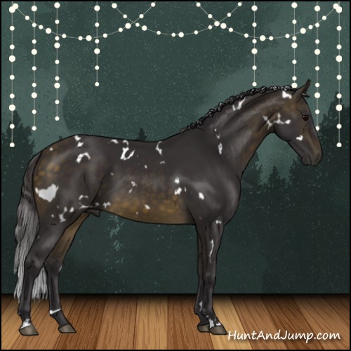 Horse Color:White Spotted Buckskin Sabino 