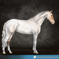 Horse Color:Silver Bay Roan Dun Tobiano Blanket Rabicano 