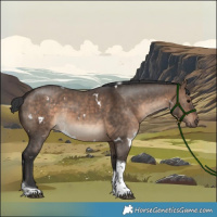 Horse Color:White Spotted Brown Dun Tobiano Brindle 