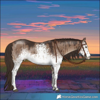 Horse Color:White Spotted Liver Red Dun Tobiano Rabicano Brindle