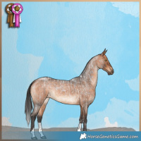 Horse Color:Brown Roan Tobiano  and Bay Roan Tobiano 