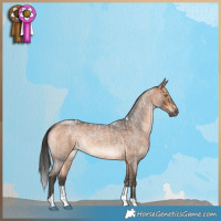 Horse Color:Brown Roan Tobiano  and Bay Roan Tobiano 