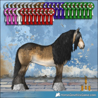 Horse Color:Gray Buckskin Dun