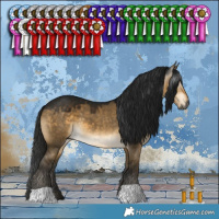 Horse Color:Gray Buckskin Dun 