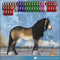 Horse Color:Gray Buckskin Dun 