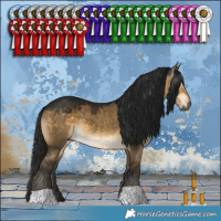 Horse Color:Gray Buckskin Dun 