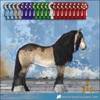 Horse Color:Gray Buckskin Dun 