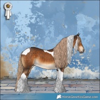 Horse Color:Gray Chocolate Palomino Tobiano 