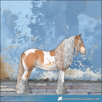 Horse Color:Gray Cremello Tobiano