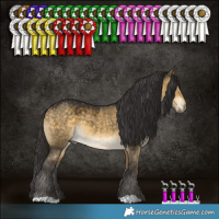 Horse Color:Buckskin Dun 