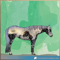 Horse Color:Void Watercolor Liver Red Dun Onyx Splash Tobiano 