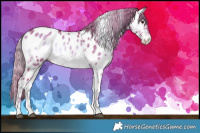 Horse Color:Watercolor Liver Red Dun Onyx Tobiano Near Leopard Brindle 