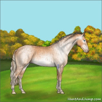Horse Color:Gray Perlino  and Gray Cremello 