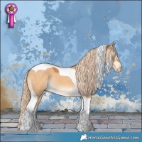 Horse Color:Gray Cremello Dun Tobiano 