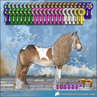 Horse Color:Gray Liver Red Dun Tobiano 