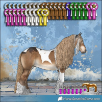 Horse Color:Gray Liver Red Dun Tobiano 