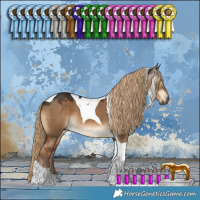 Horse Color:Gray Liver Red Dun Tobiano 