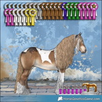 Horse Color:Gray Liver Red Dun Tobiano