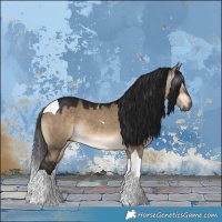 Horse Color:Gray Brown Dun Tobiano 