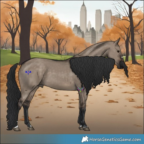 Horse Color:Brown Dun 