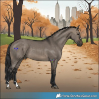 Horse Color:Brown Dun 