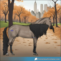 Horse Color:Brown Dun 