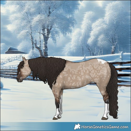 Horse Color:Liver Red Dun Ice Tobiano 