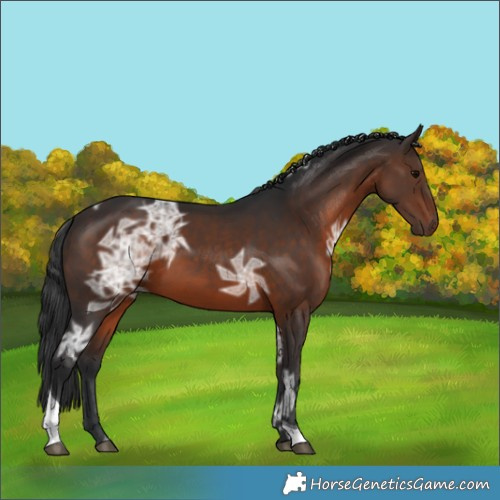 Horse Color:Brown Ice Tobiano 