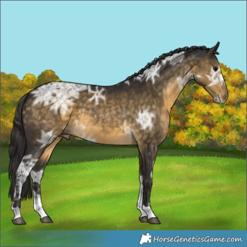Horse Color:Buckskin Ice 