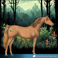 Horse Color:Chestnut Rabicano 