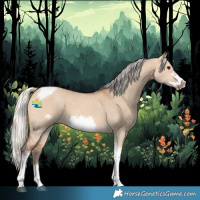 Horse Color:Silver Bay Dun Sabino Tobiano Frame Rabicano 