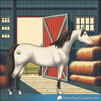 Horse Color:Buckskin Dun Tobiano 