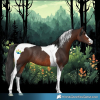 Horse Color:Brown Tobiano Rabicano