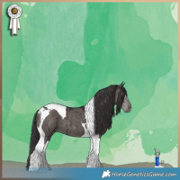Horse Color:Smoky Grullo Tobiano Brindle 